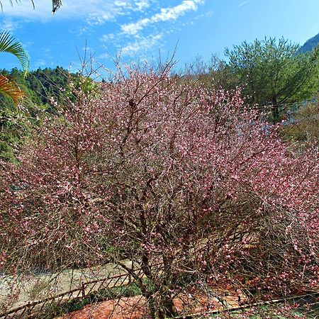 Li Jin Kuan Homestay Nanzhuang Exteriér fotografie